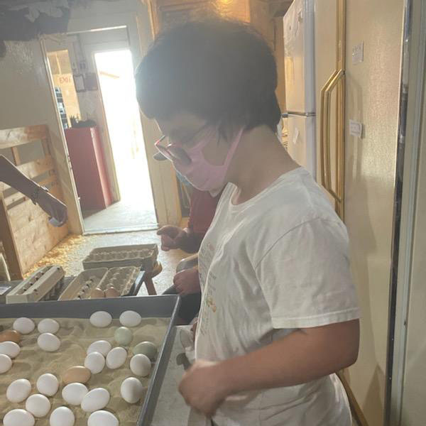 a PELS client at work sorting eggs